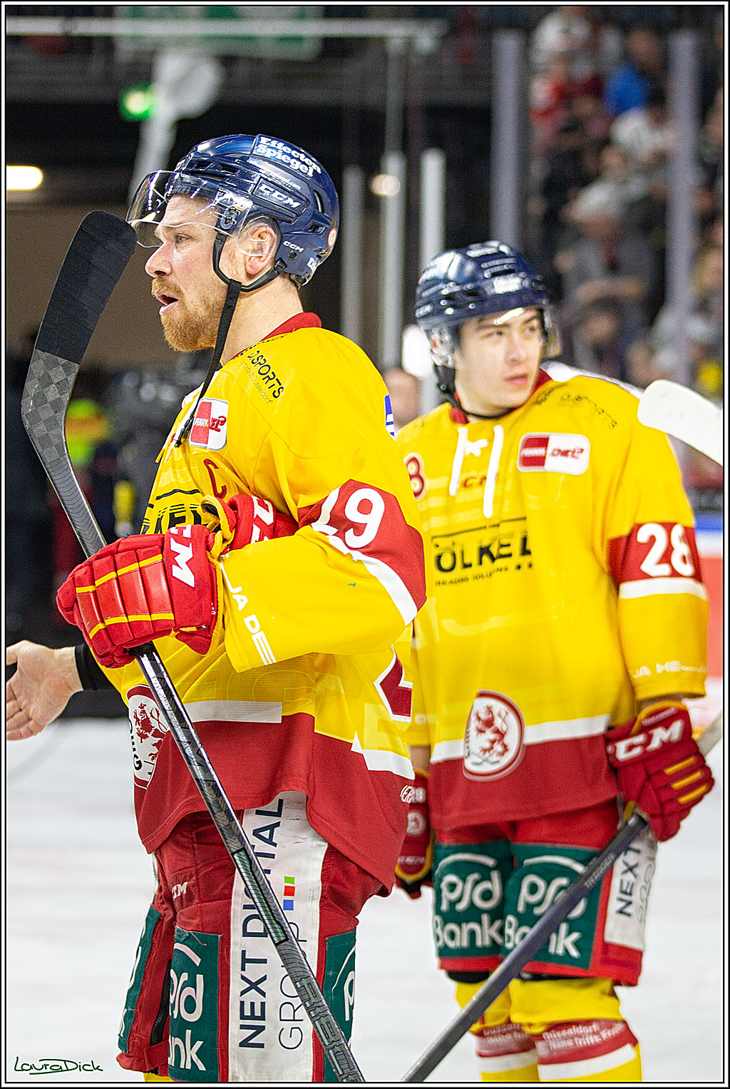 PENNY DEL; Koelner Haie- Duesseldorfer EG; Koeln, 16.12.2022